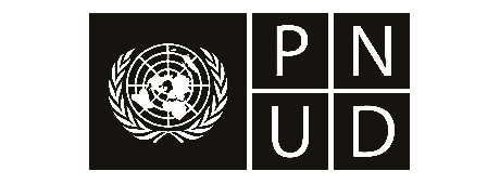 Logo da PNUD — Programa das Nações Unidas para o Desenvolvimento